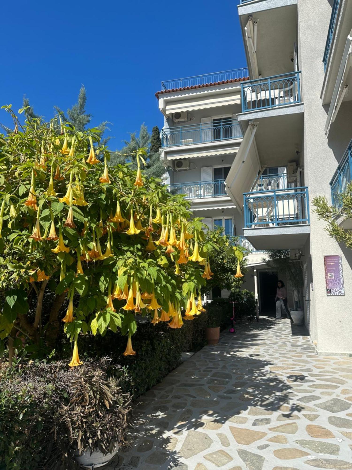 Drossinos Studios Poros Town Exteriér fotografie
