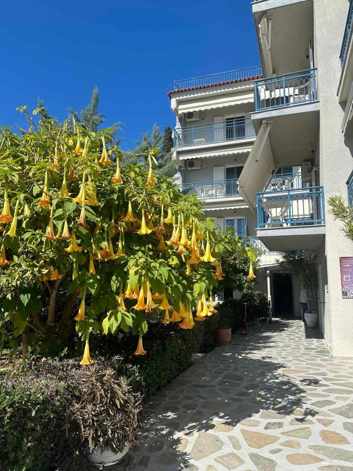 Drossinos Studios Poros Town Exteriér fotografie